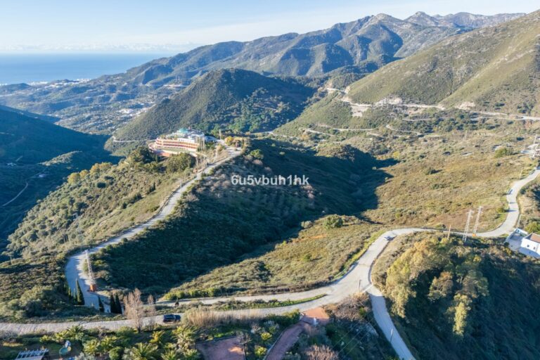 c6e4cc34a829f98b87be5bb14d36d0d5 - 2