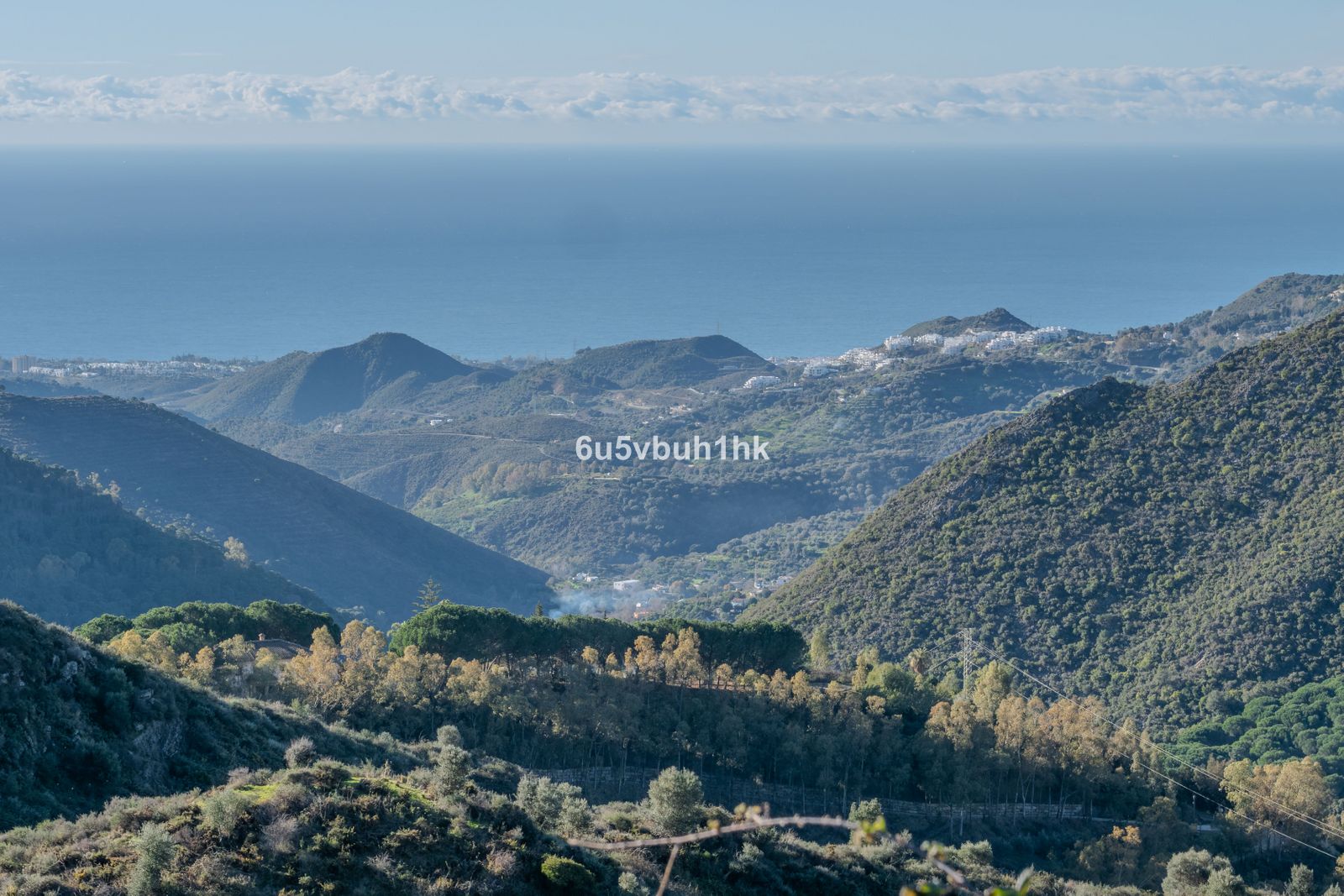 c6e4cc34a829f98b87be5bb14d36d0d5 - 3