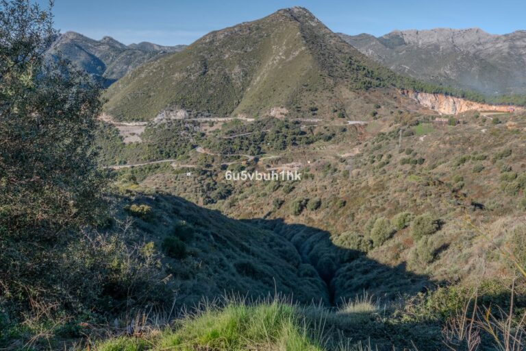 c6e4cc34a829f98b87be5bb14d36d0d5 - 8