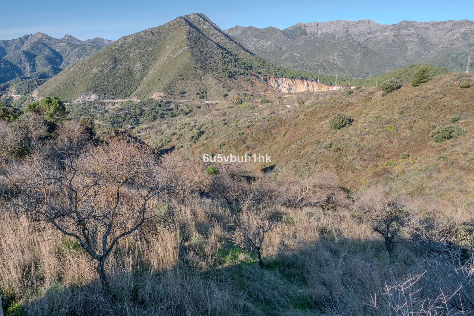 c6e4cc34a829f98b87be5bb14d36d0d5 - 9