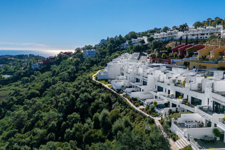 d0f524b01416660eda3ca16bef409d6c - 1