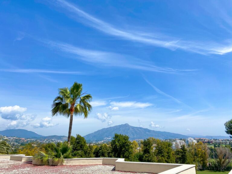 d197ee15fa44e35a584282d0c6122388 - 5