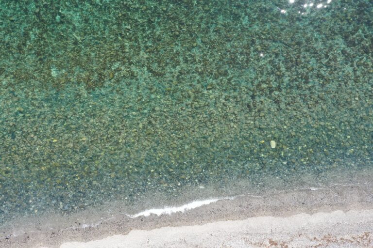 d463fc74f24329a32fdcccba4523b6aa - 6