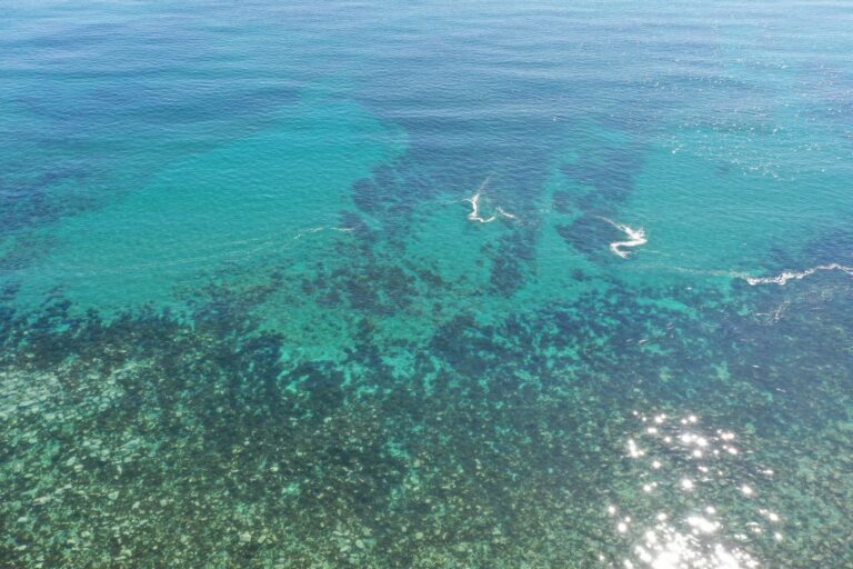 d463fc74f24329a32fdcccba4523b6aa - 7