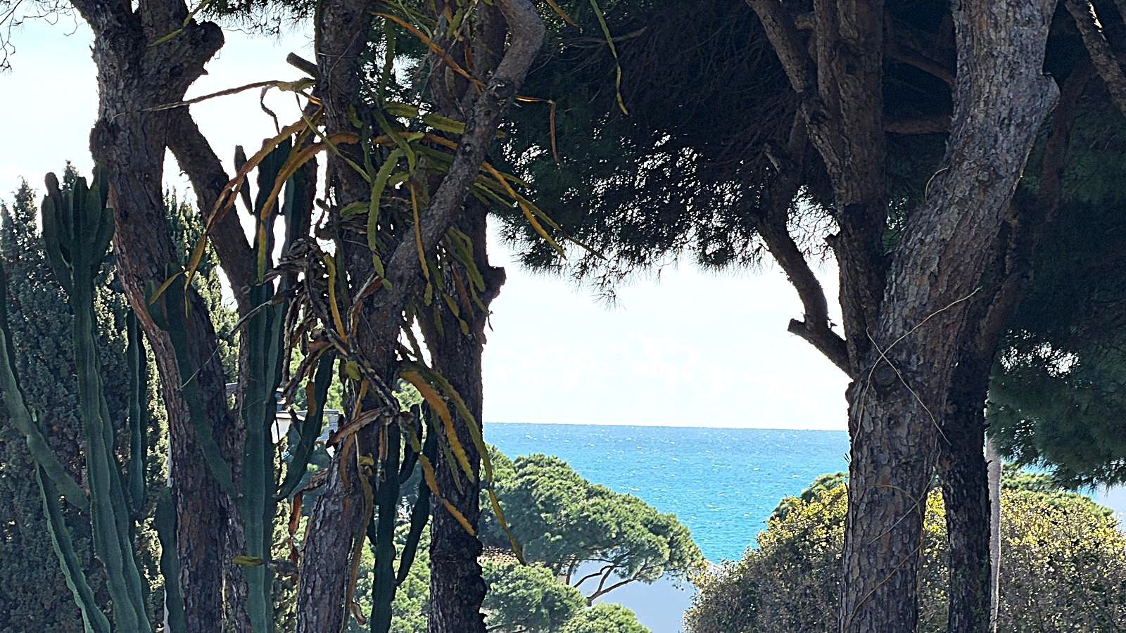 d4d7fa547a82cc98707d5f06825877c5 - 3