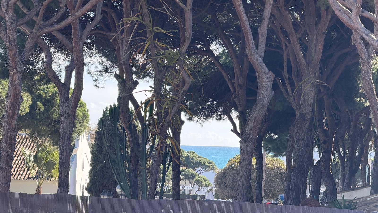 d4d7fa547a82cc98707d5f06825877c5 - 5