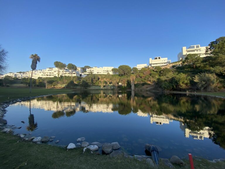 dff7ba935d6d403ad154d80433d30abc - 1