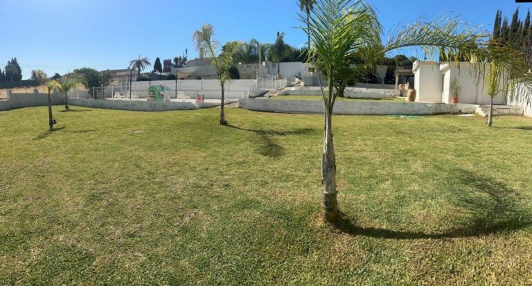 ea4776b4ea1a493c2552332aaa72fa51 - 6