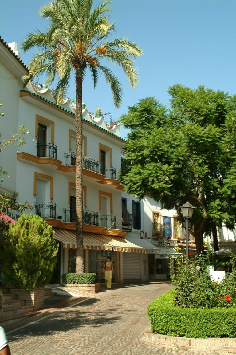 ee3455be0e34f6816cdce4132fe7ba88 - 12