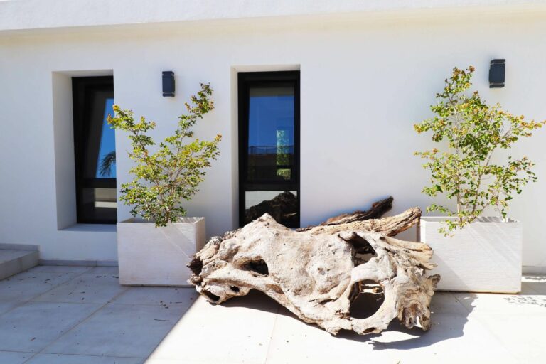 f1ed98cf1acc176157b712cd2e248df6 - 16