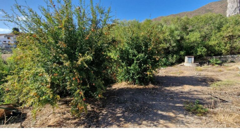 f25778ceac0a63ef008d6e15ae128fb8 - 7