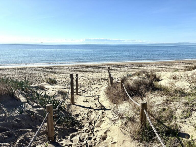 f41e44ceb2d374e726546362f7d5356e - 5