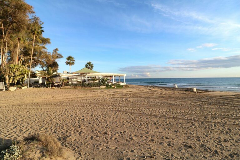 f43dcba760c06ec79ba3f71d5642431b - 5