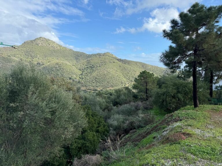 018ebcb1c885cad7004729fcced429e7 - 8