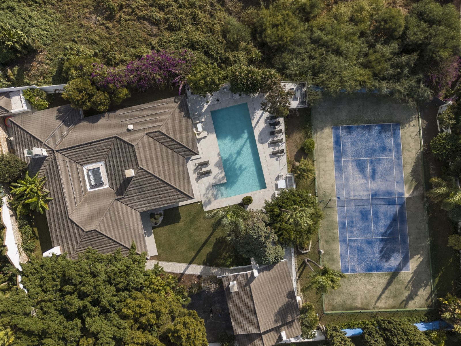 041fa2ddc9f97c60ed56e467d883e8bc - 5