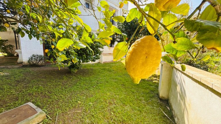 14c8bc576ff73ac7351a2644bf3a7095 - 16