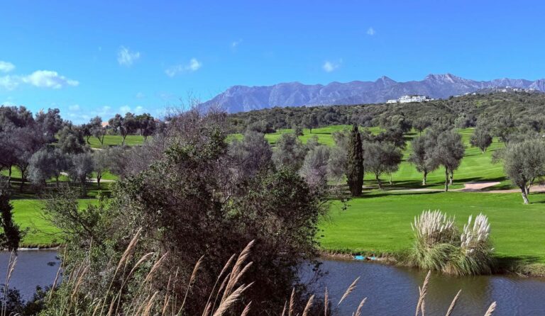 14c8bc576ff73ac7351a2644bf3a7095 - 2