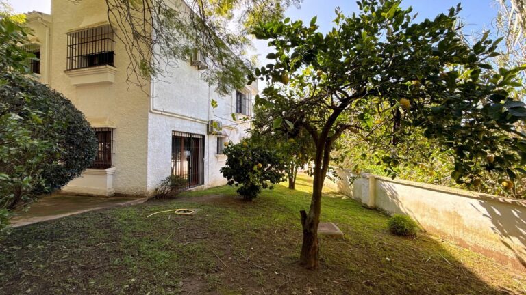 14c8bc576ff73ac7351a2644bf3a7095 - 5