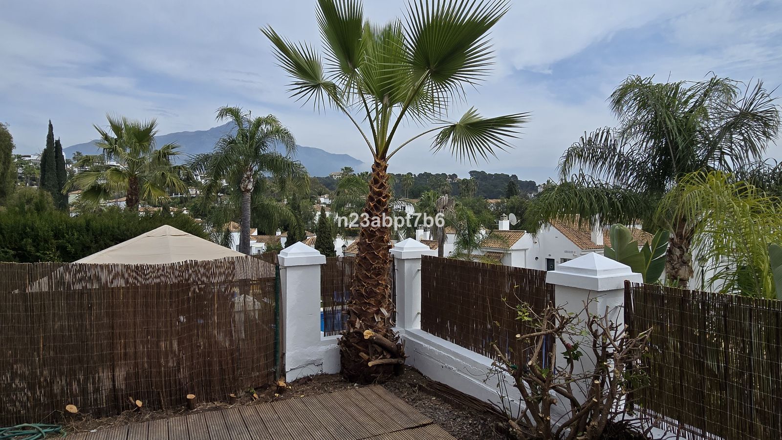 23f7d778338a37604e470fa4e3c03dcc - 13