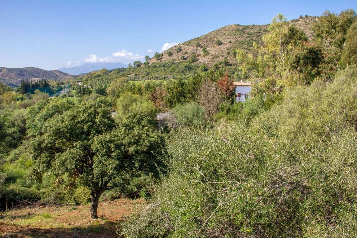 2733ed12f074323d4fd8a9035d323f0a - 6