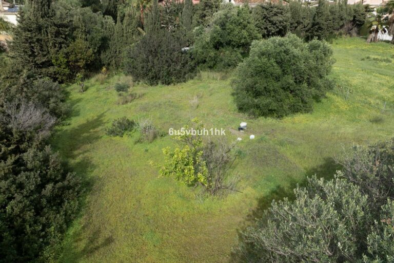 35f27fc95c3e54bcc5ef8053c065d876 - 13