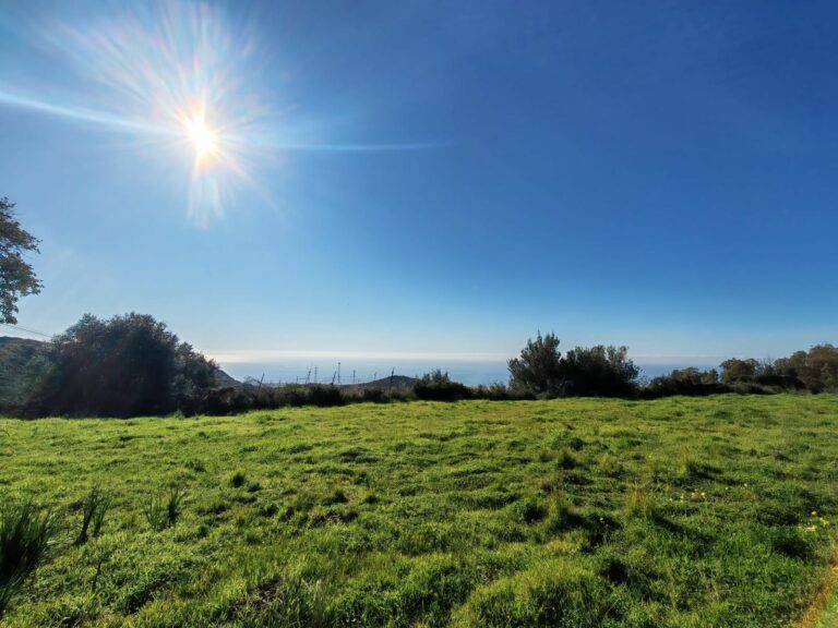 3bc94927093c0780a5aa896457a74651 - 1