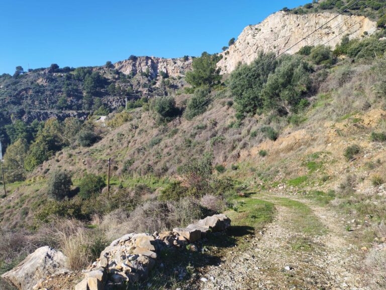 3bc94927093c0780a5aa896457a74651 - 12