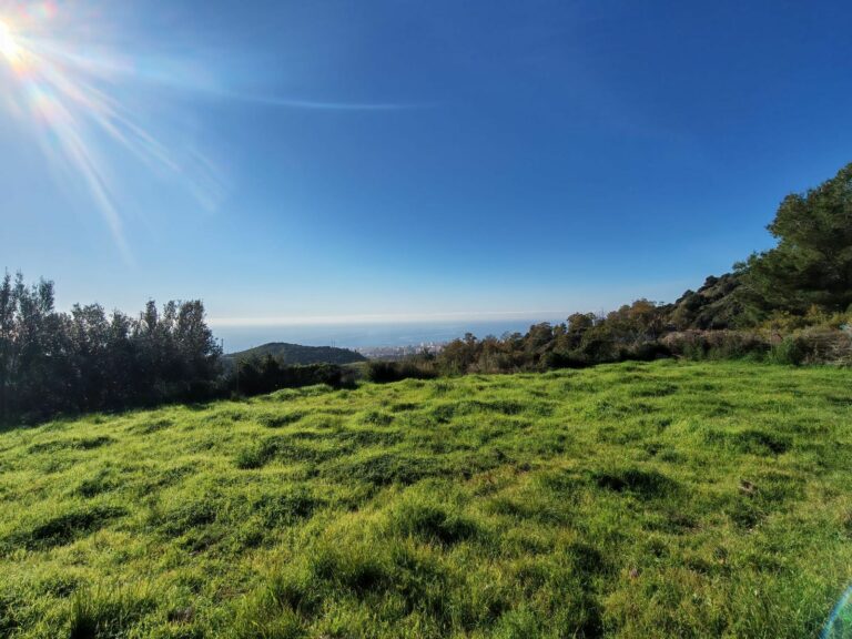 3bc94927093c0780a5aa896457a74651 - 2