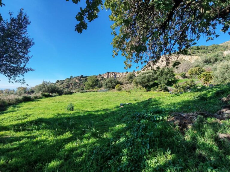 3bc94927093c0780a5aa896457a74651 - 4