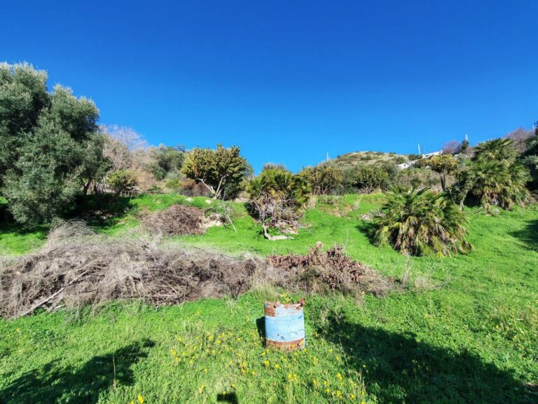 3bc94927093c0780a5aa896457a74651 - 5