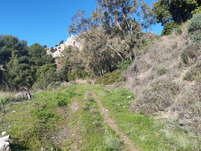 3bc94927093c0780a5aa896457a74651 - 6