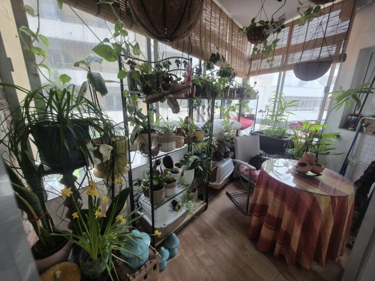 4008232d75d833c3eef2cda214534e83 - 11