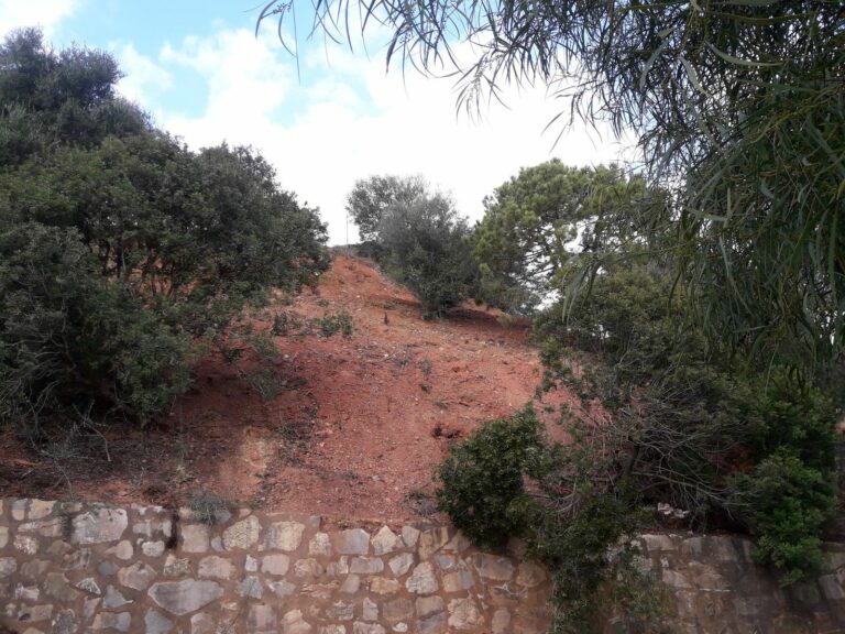 59bf66a560ccaf85843da7251ddc2e62 - 2