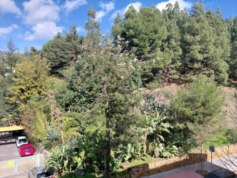 5dbc2d6eb2b9106fac0abaa02e7f0982 - 13