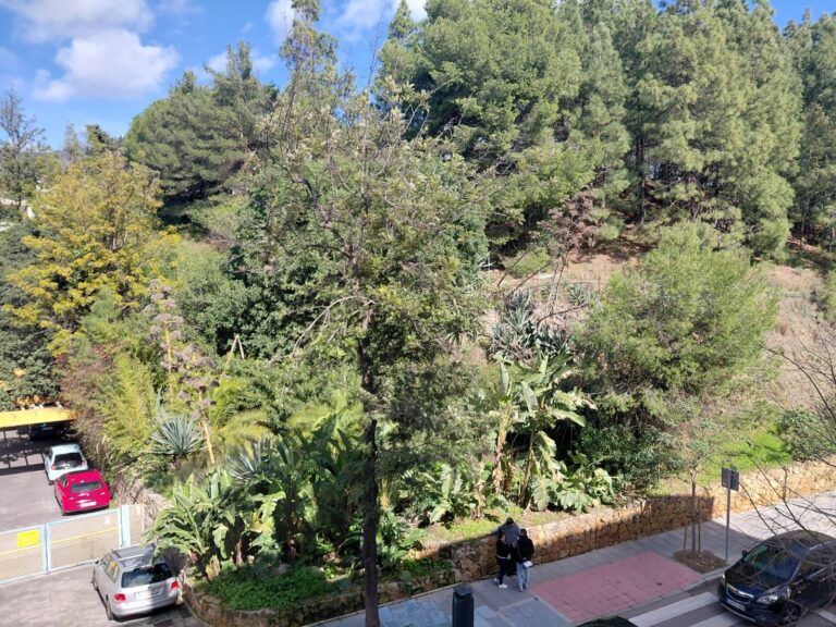 5dbc2d6eb2b9106fac0abaa02e7f0982 - 15