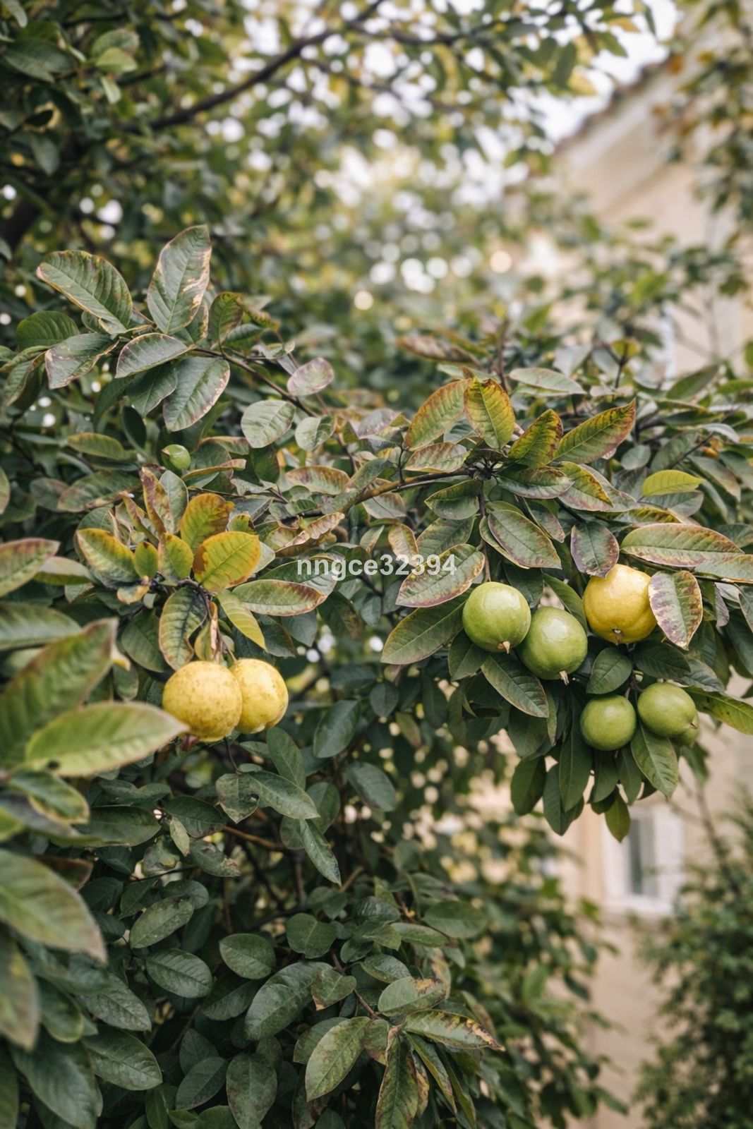 83dd2920b3e9f8f606805634de240fd0 - 15