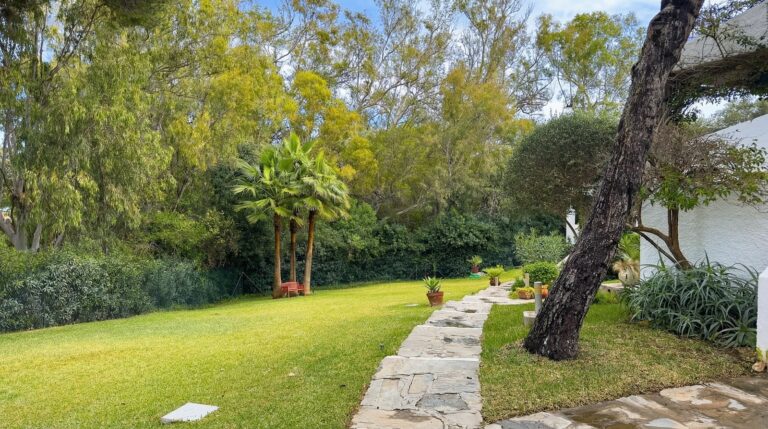 8a35543010b02b4f114140f1b7302005 - 16