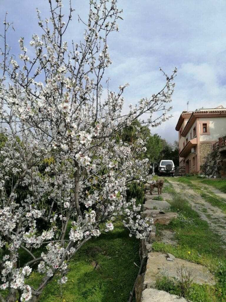 90a04b216c0ccc38aa6e1efccd4b4ed3 - 4