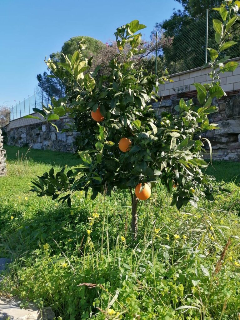 90a04b216c0ccc38aa6e1efccd4b4ed3 - 5