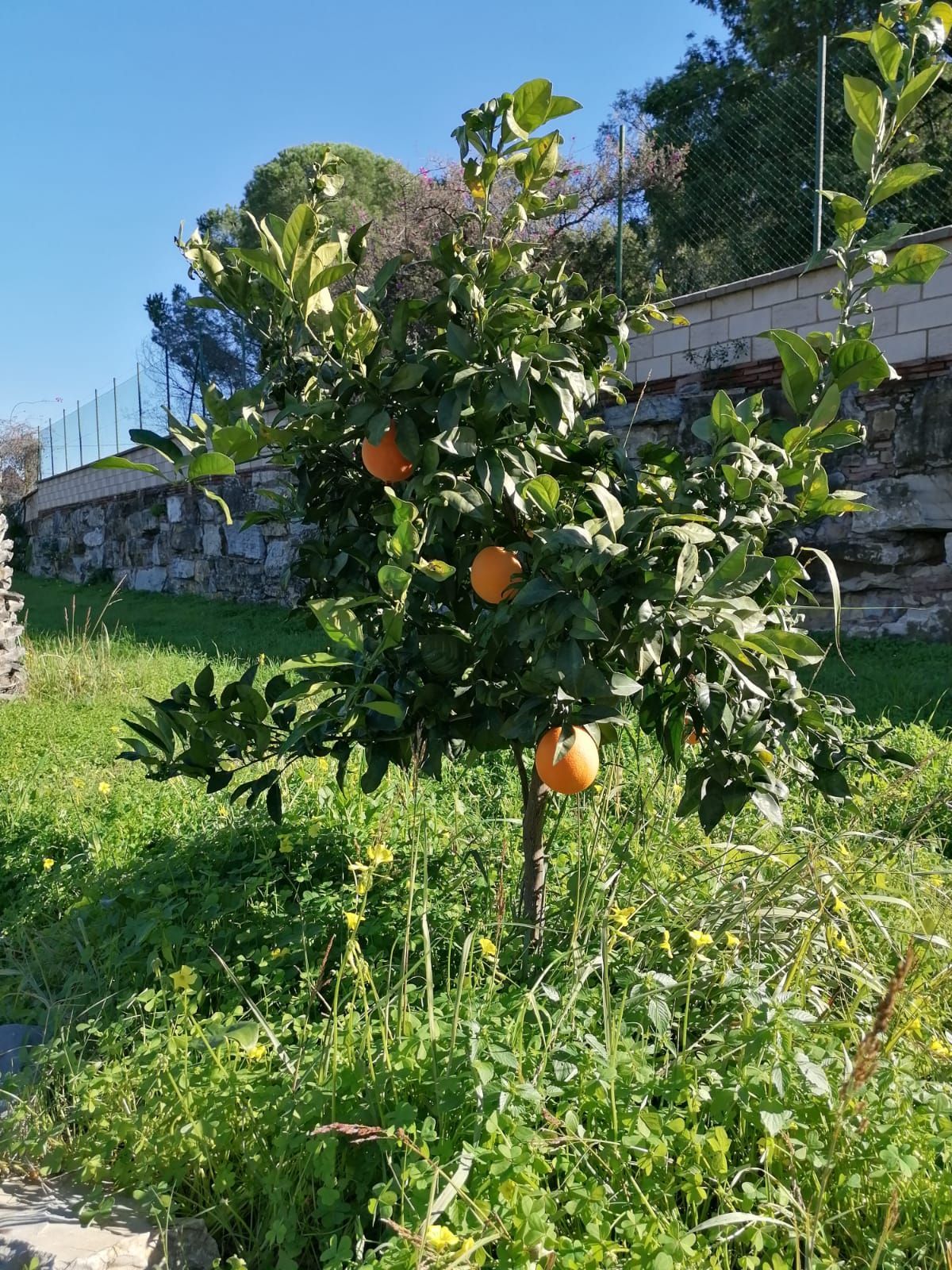 90a04b216c0ccc38aa6e1efccd4b4ed3 - 5