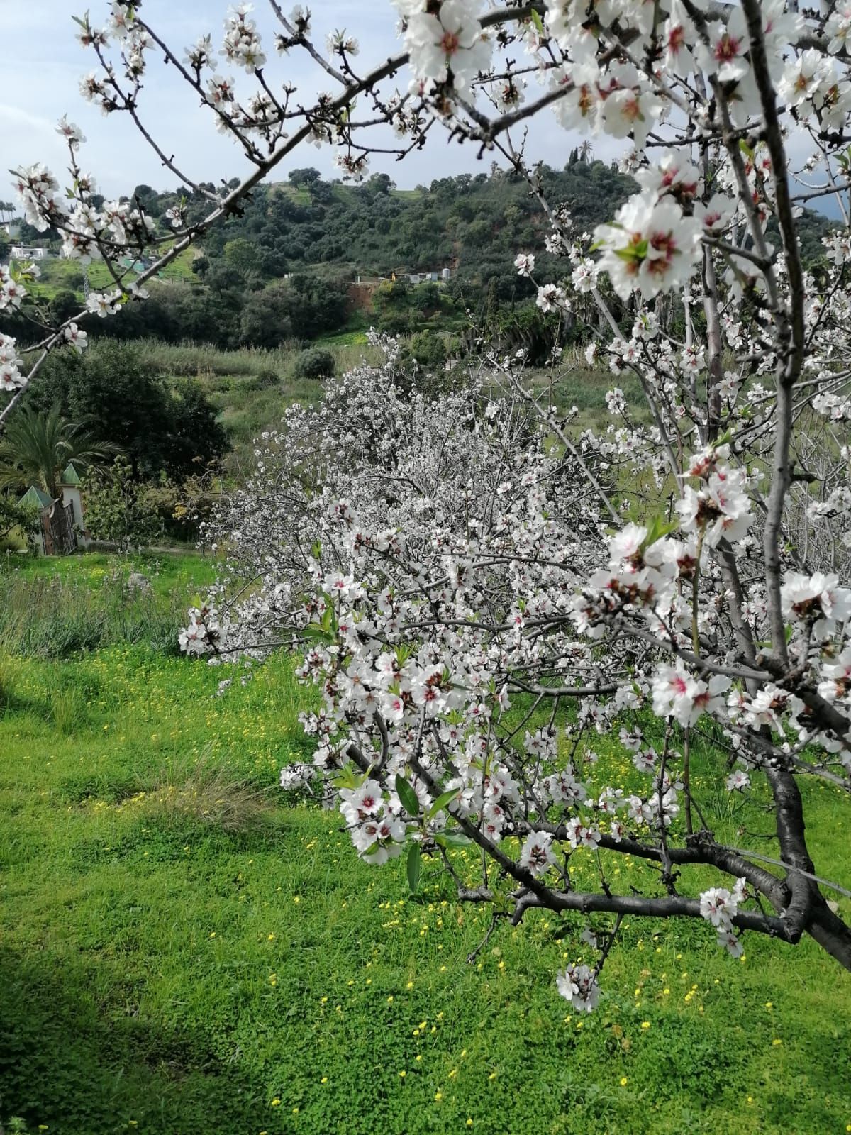 90a04b216c0ccc38aa6e1efccd4b4ed3 - 6