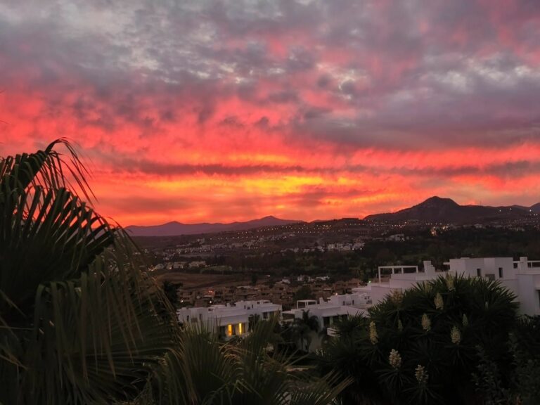 90b546f36b405033eec5b7c74c6cecf6 - 12