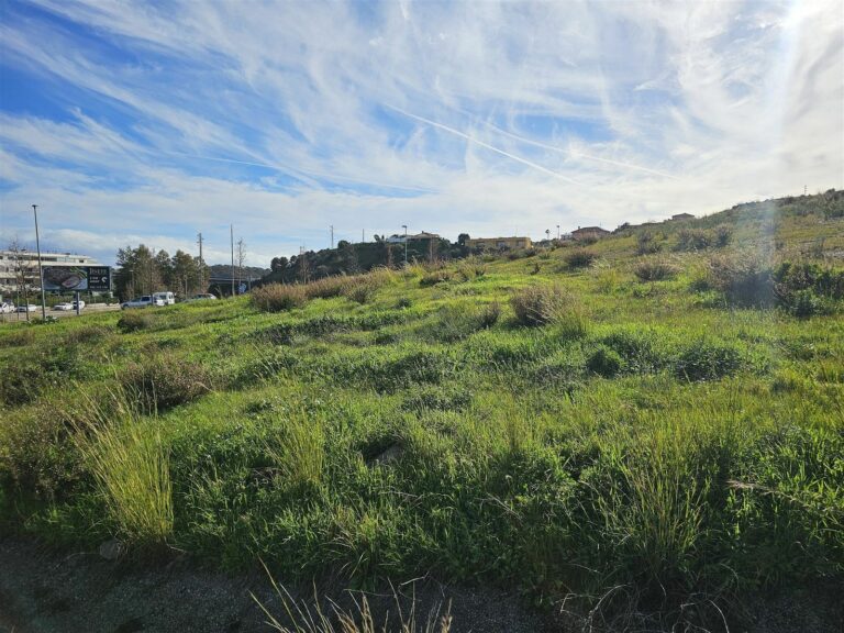 a1c1e989b21d7a792987947c19196daf - 5