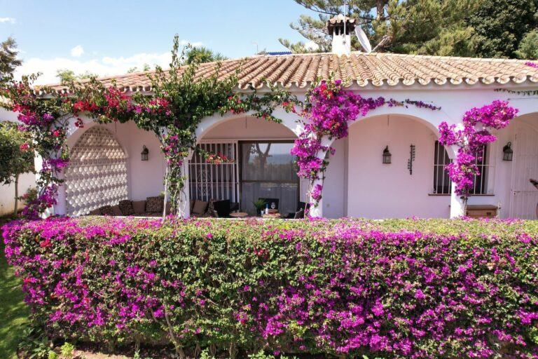 a236a615863b90488bcb85483f51f3a2 - 3