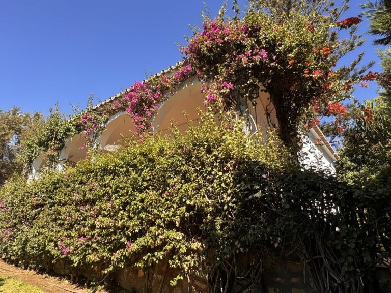 a236a615863b90488bcb85483f51f3a2 - 9