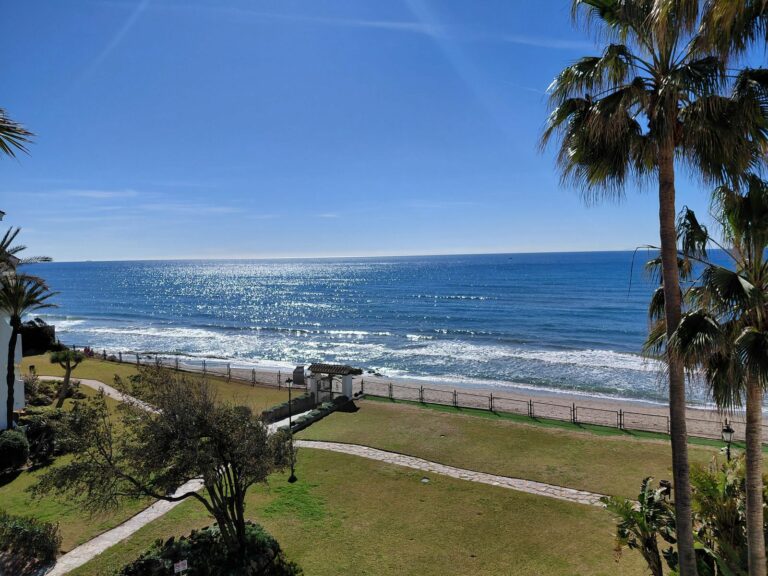 a523ab06dad68f0f419c4f6e2023892c - 1