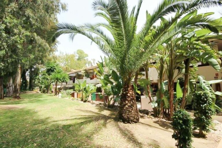 ac3cd9495eaa6d16220e5e63714bc526 - 15