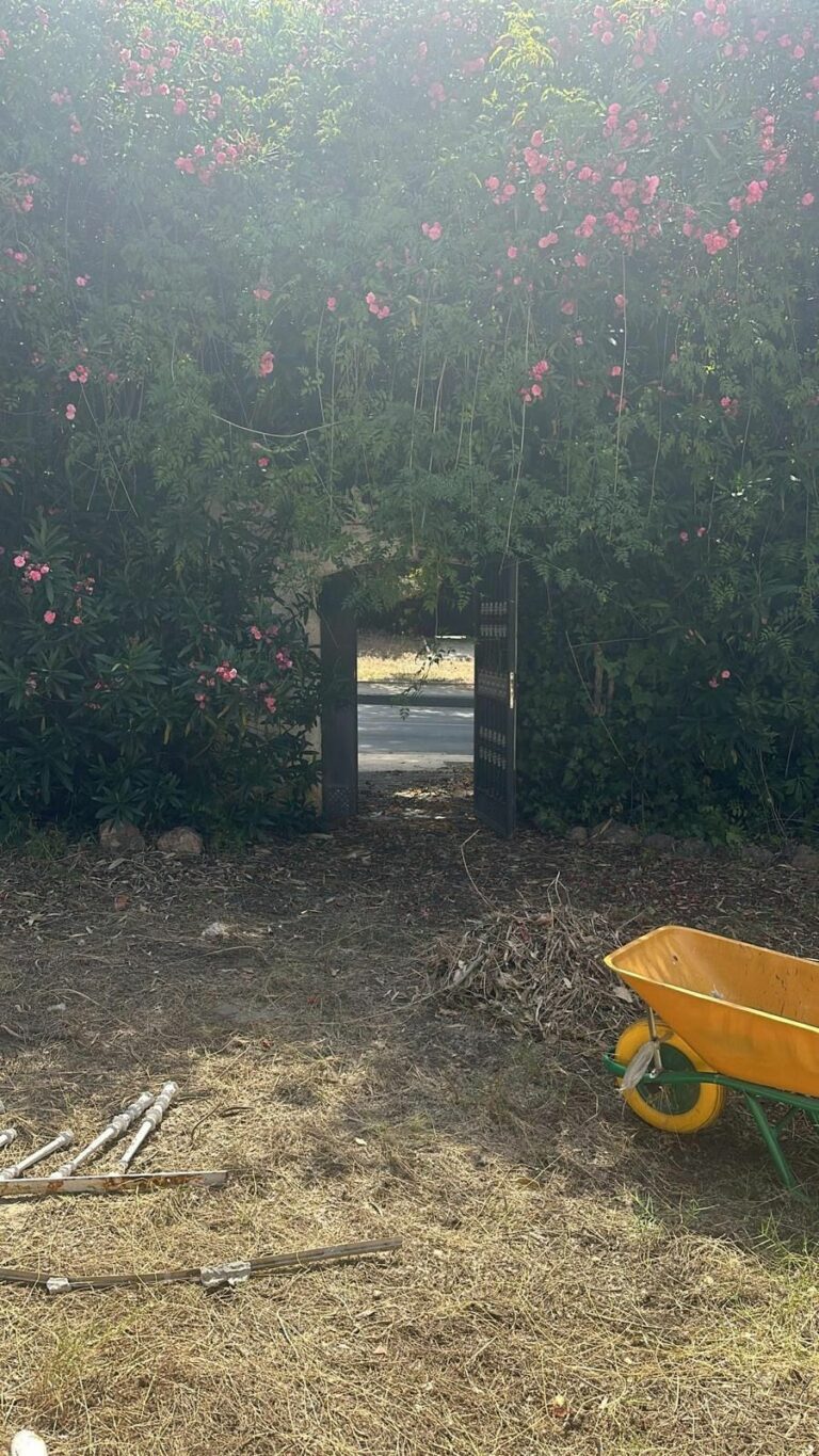 bd65aa9eb7fb9c4a956ce34205496340 - 9