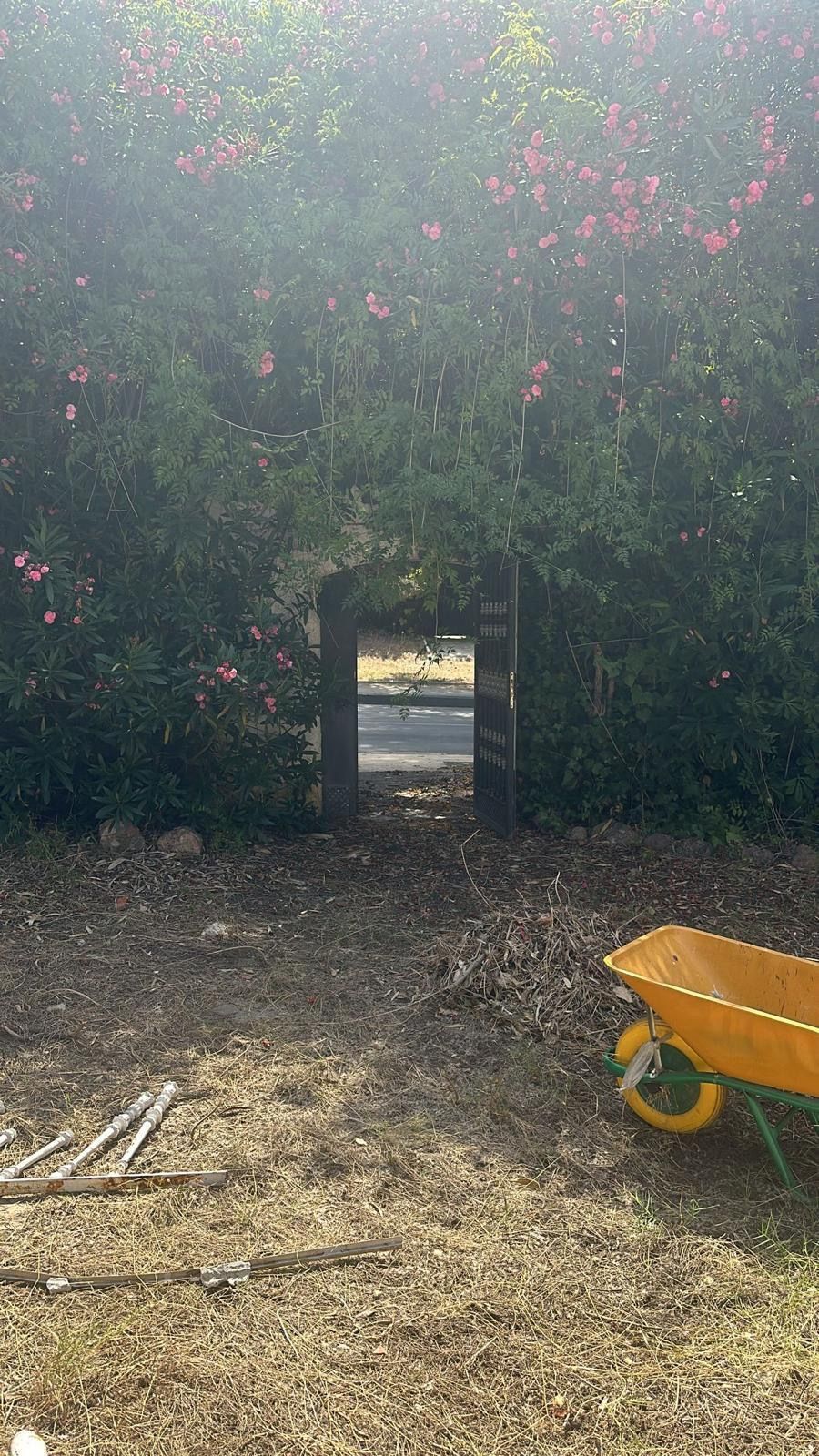 bd65aa9eb7fb9c4a956ce34205496340 - 9