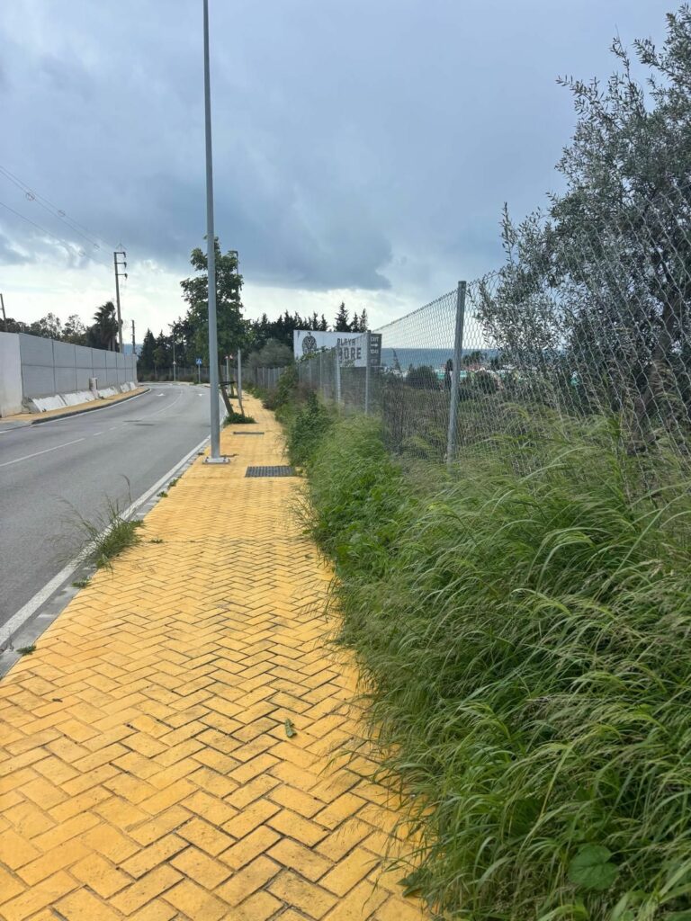 c6c9cabcb28df741c019d666706fe585 - 1